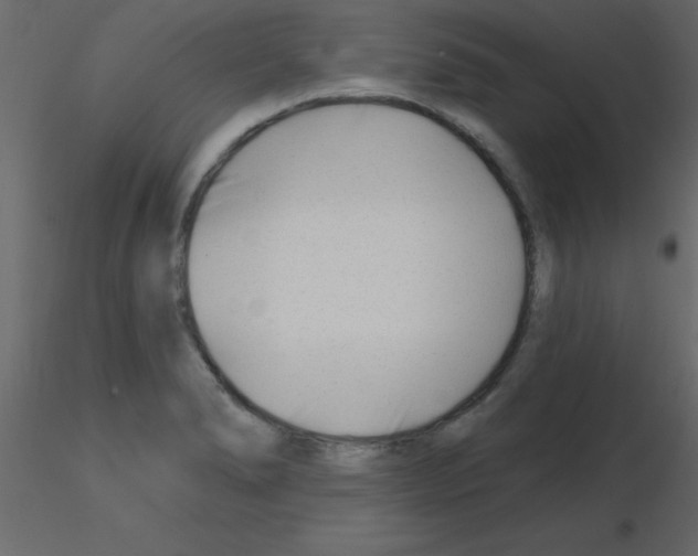 X0000115811278200912241906