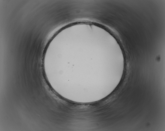 X0000115811279200912241906