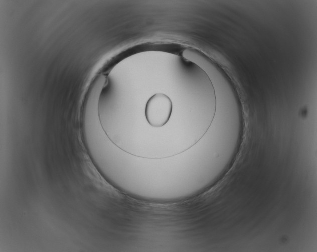 X0000115811280200912241906