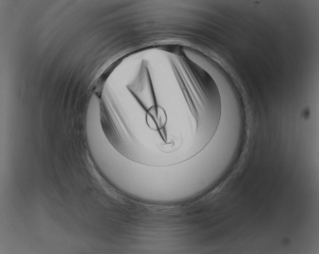 X0000115811281200912241906