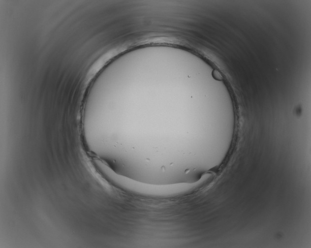X0000115811282200912241906