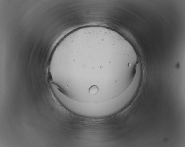 X0000115811284200912241906