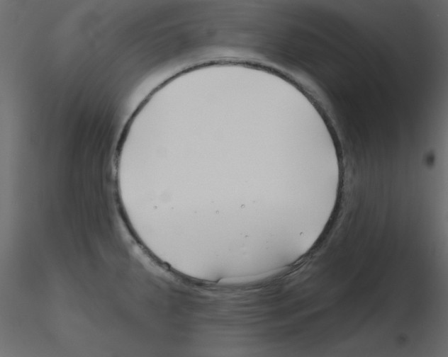 X0000115811287200912241906