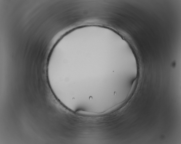 X0000115811288200912241906