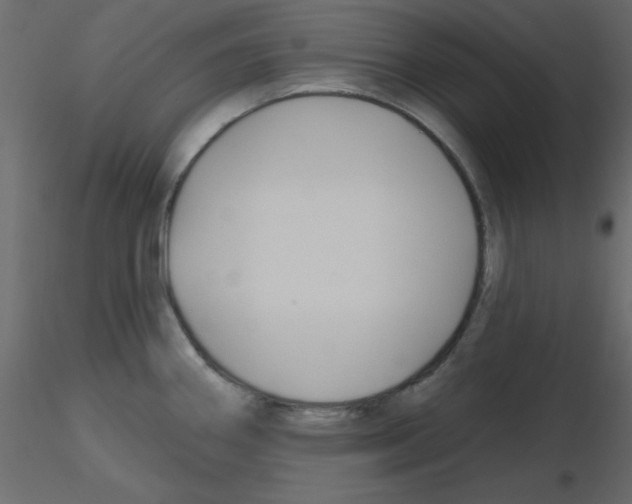 X0000115811290200912241906