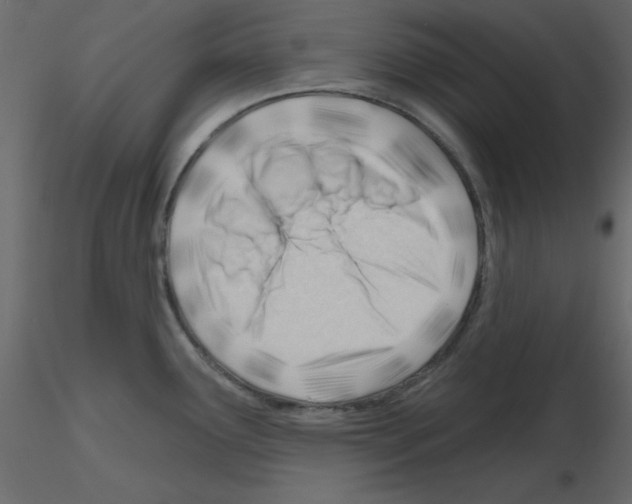 X0000115811291200912241906