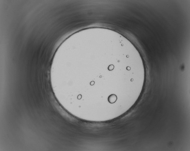 X0000115811292200912241906