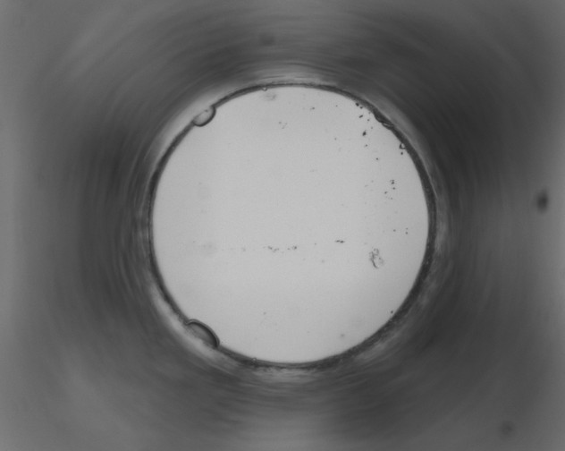 X0000115811293200912241906