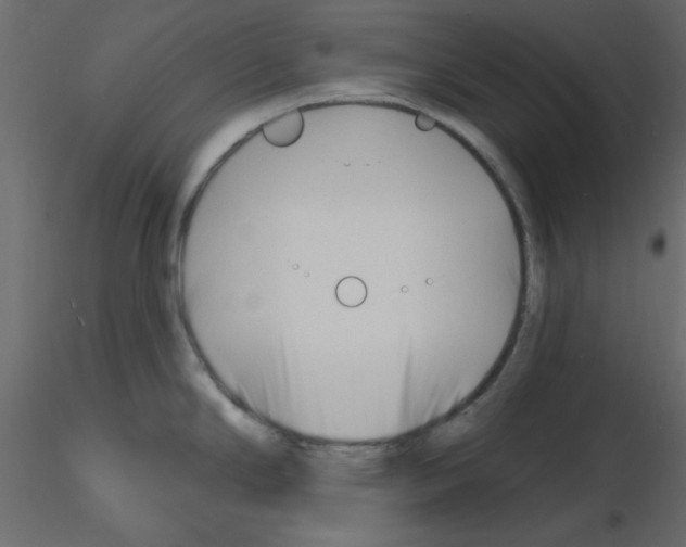 X0000115811294200912241906