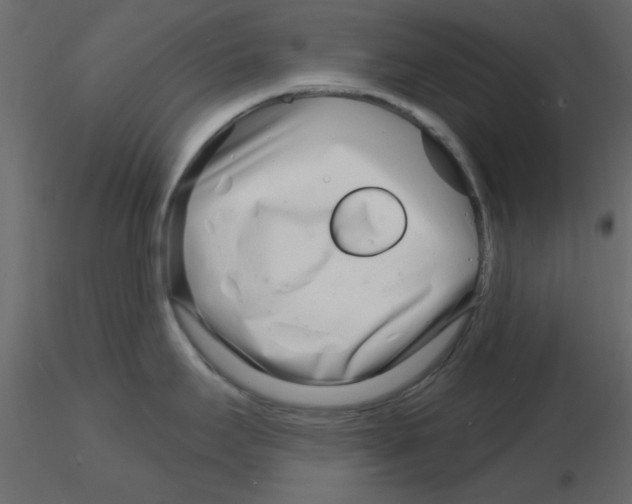 X0000115811295200912241906