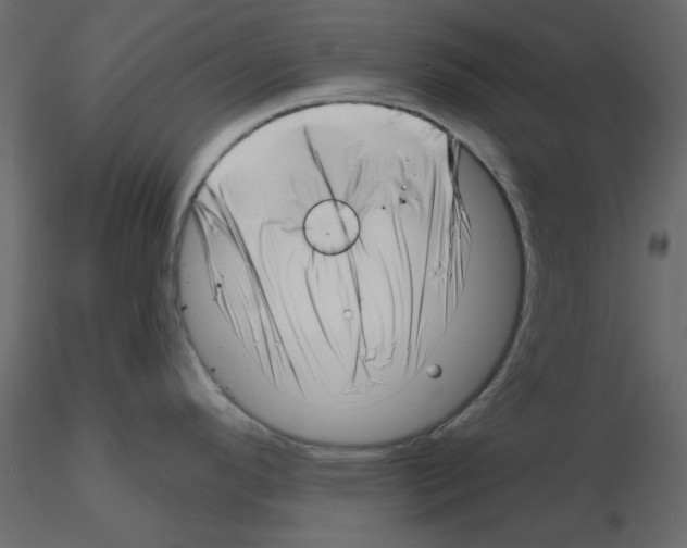 X0000115811296200912241906