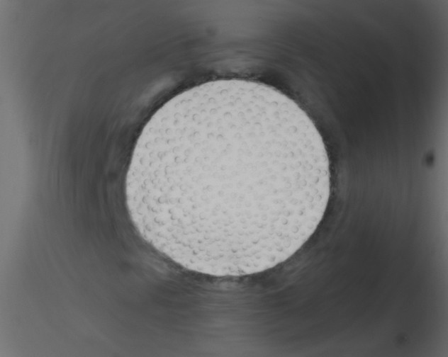 X0000115811297200912241905