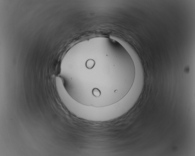 X0000115811298200912241905