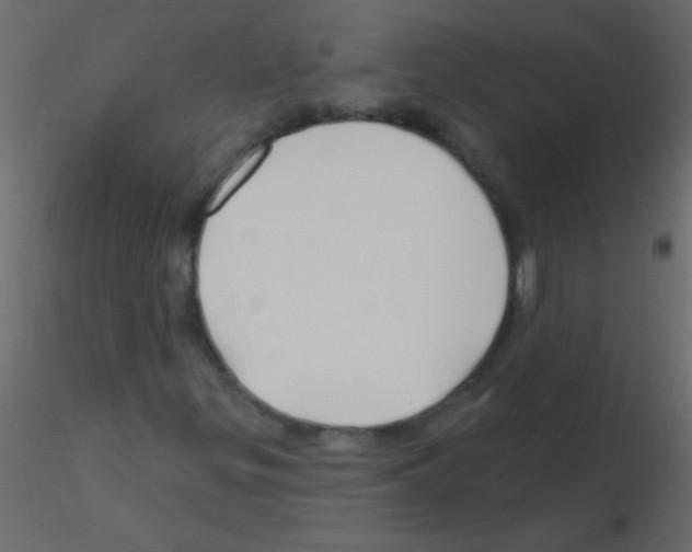 X0000115811299200912241905