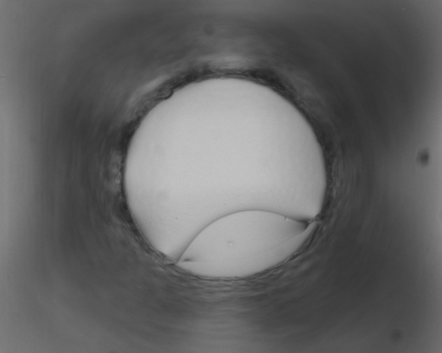 X0000115811301200912241905