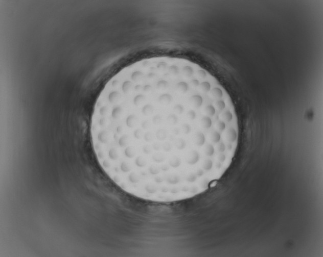 X0000115811302200912241905
