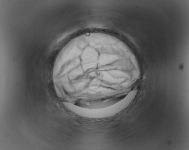 X0000115811303200912241905