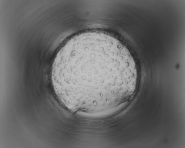 X0000115811305200912241905