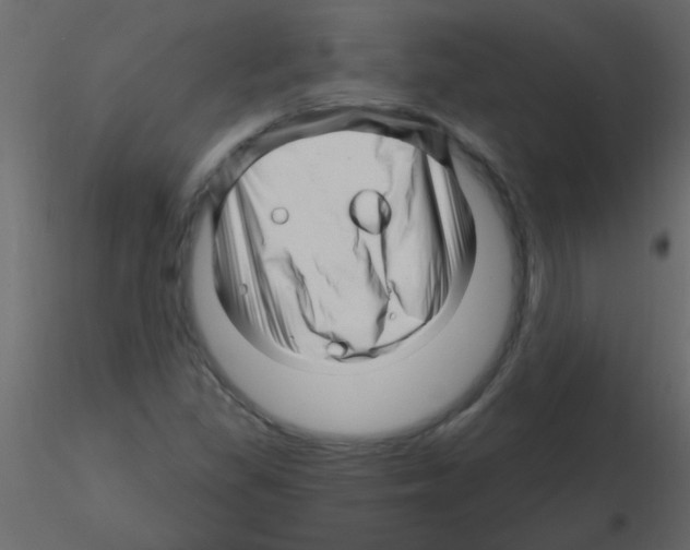 X0000115811309200912241905