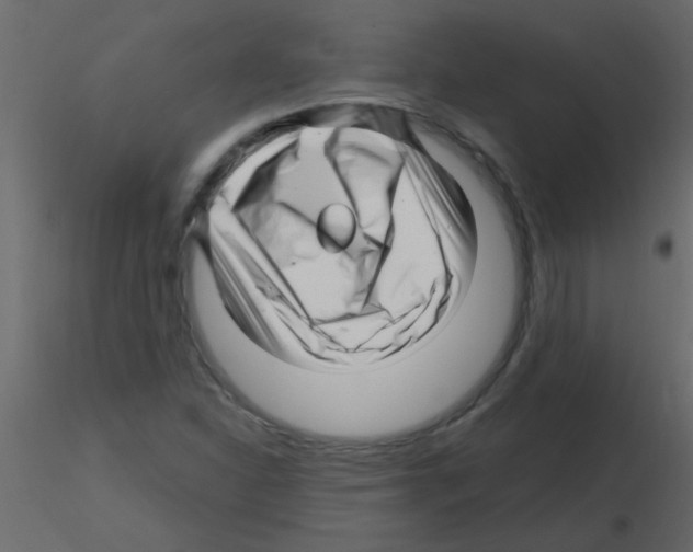 X0000115811310200912241905