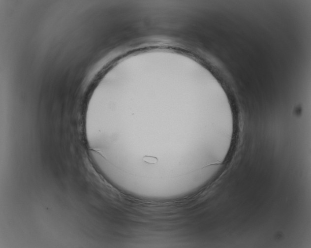 X0000115811318200912241906