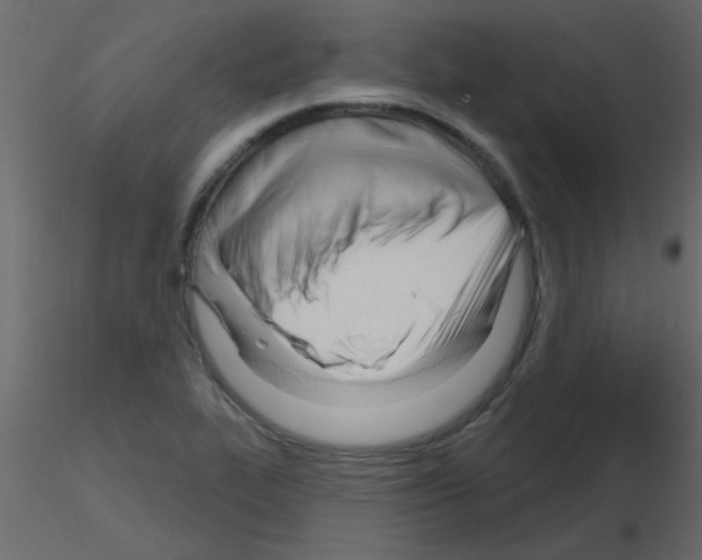 X0000115811319200912241906