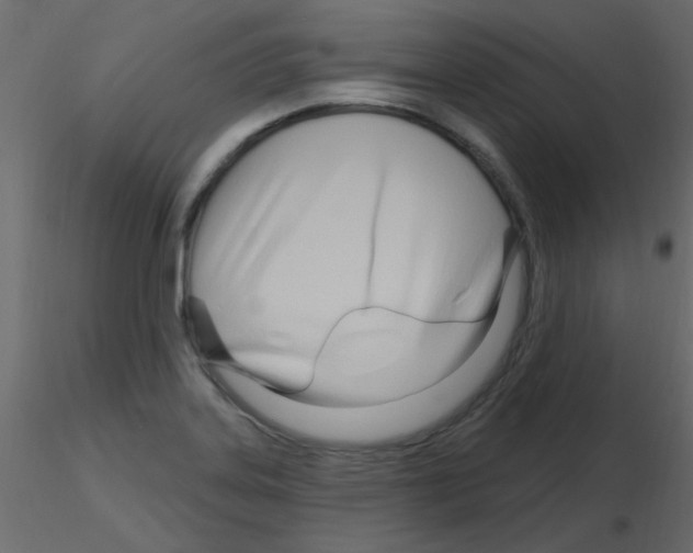 X0000115811323200912241906