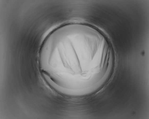 X0000115811325200912241906