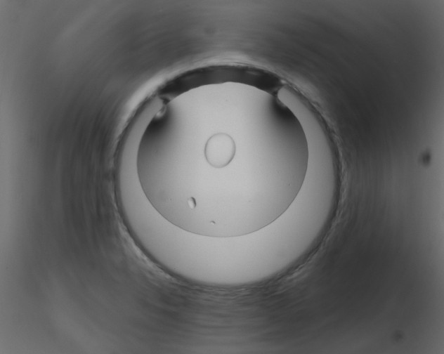 X0000115811326200912241906