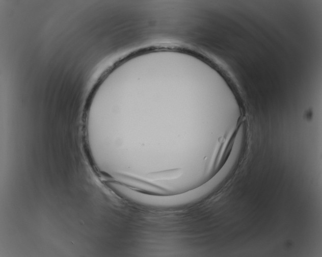 X0000115811327200912241906