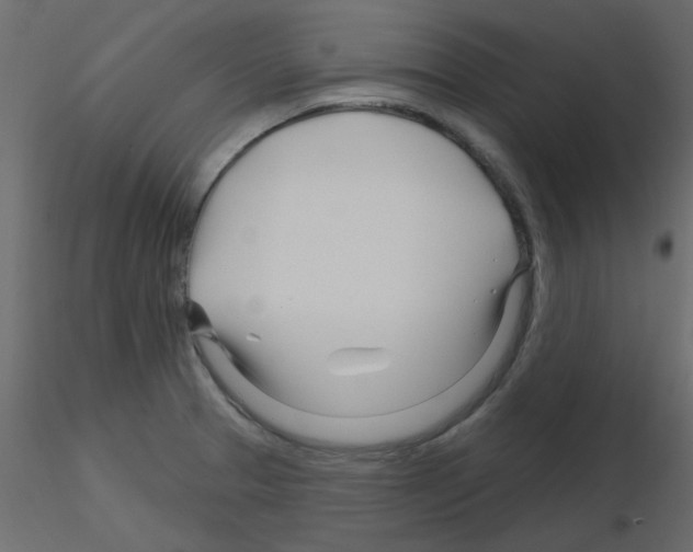 X0000115811329200912241906