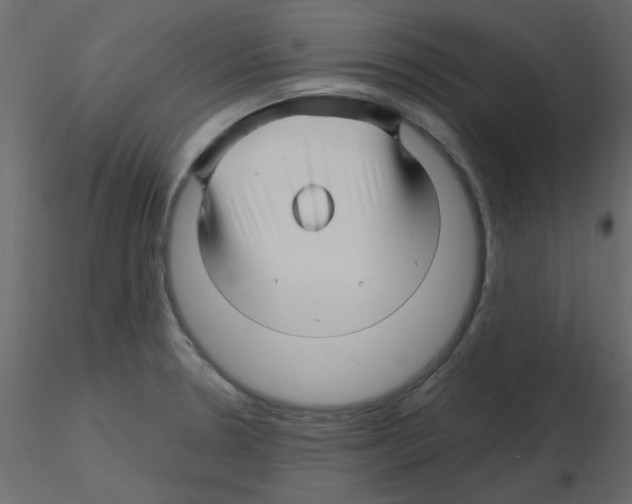 X0000115811330200912241906