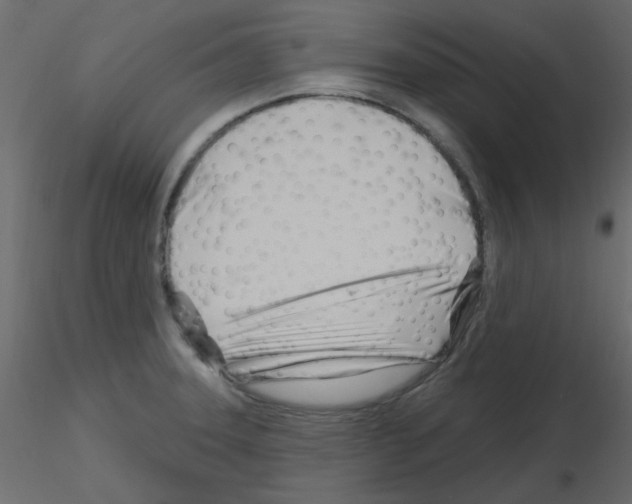 X0000115811331200912241906