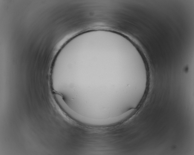 X0000115811333200912241906