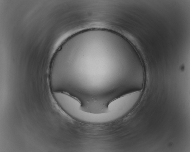 X0000115811334200912241906