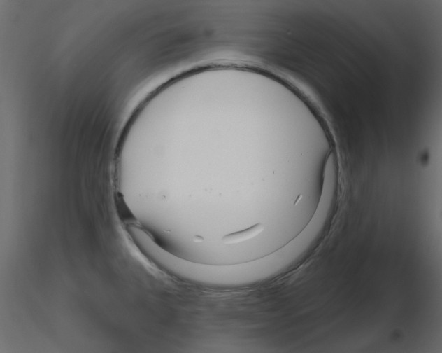 X0000115811335200912241906