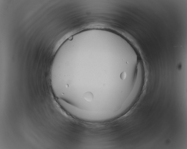 X0000115811337200912241906