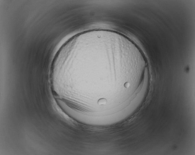 X0000115811339200912241906