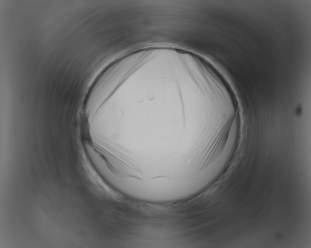 X0000115811341200912241906