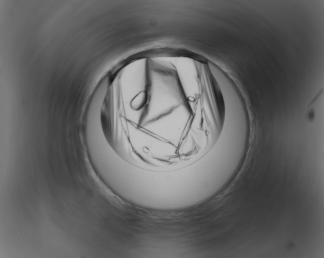 X0000115811342200912241906
