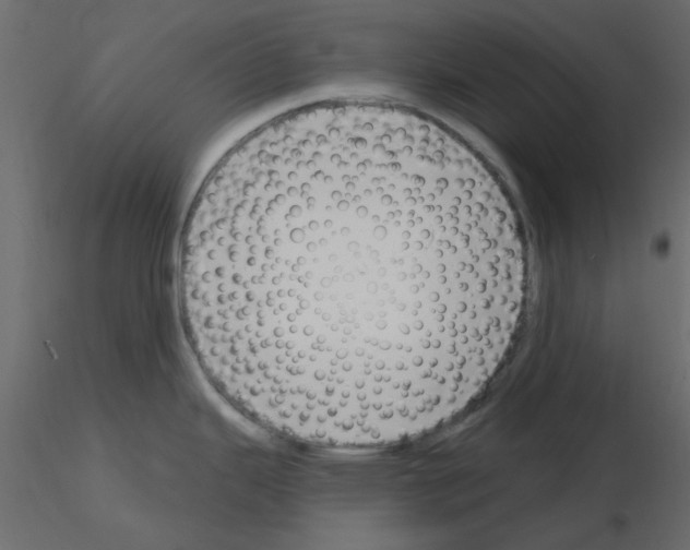 X0000115811343200912241906
