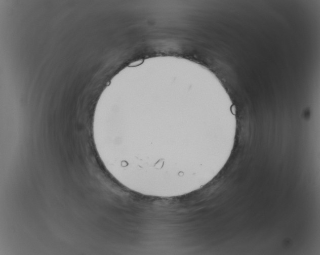 X0000115811345200912241905