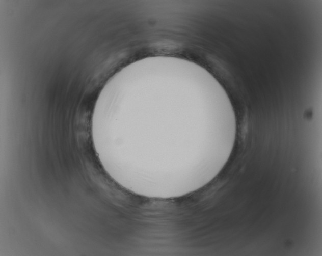 X0000115811346200912241905