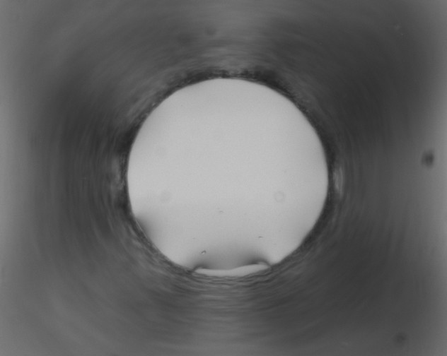X0000115811347200912241905