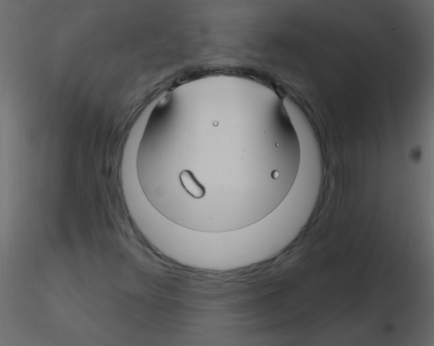 X0000115811348200912241905