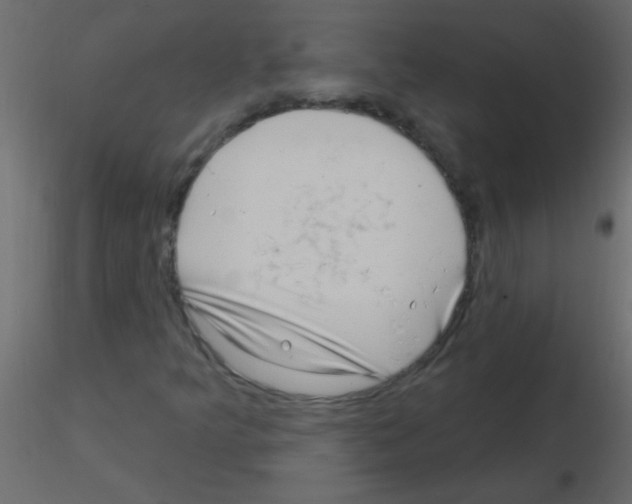 X0000115811349200912241905