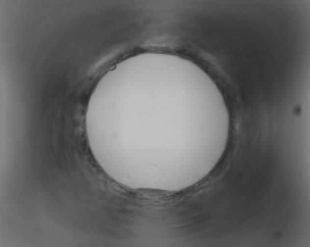 X0000115811350200912241905