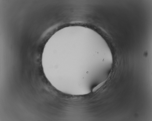 X0000115811351200912241905