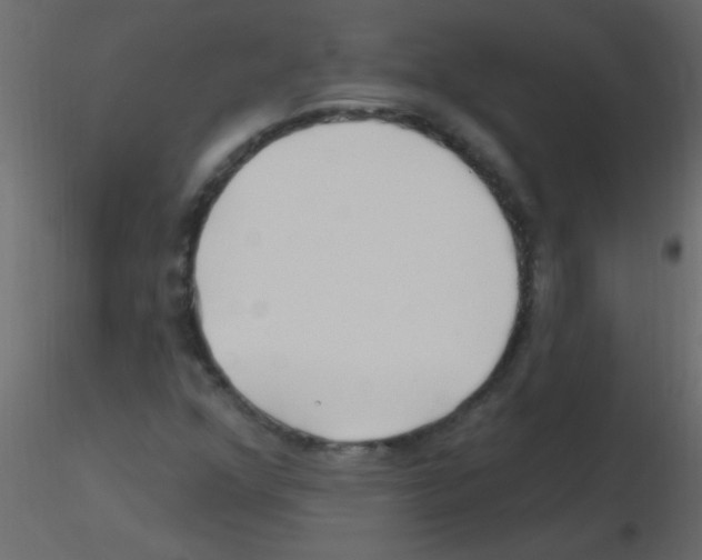 X0000115811352200912241905