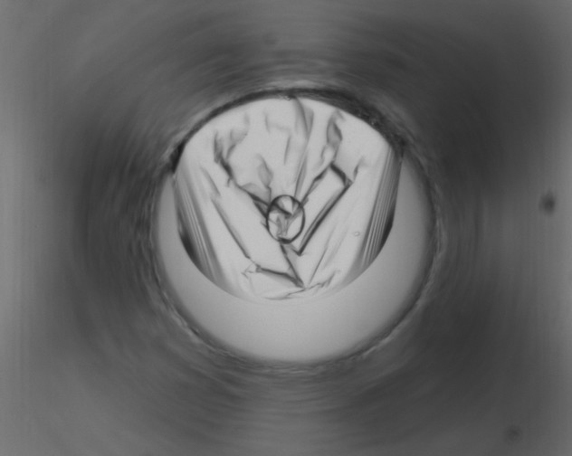 X0000115811353200912241905
